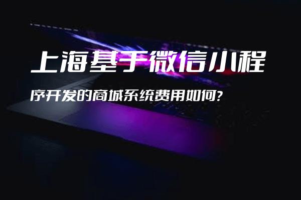 上海基于微信小程序开发的商城系统费用如何？