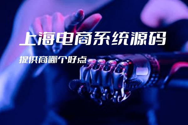 上海电商系统源码提供商哪个好点