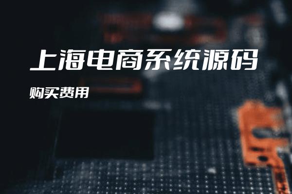 上海电商系统源码购买费用
