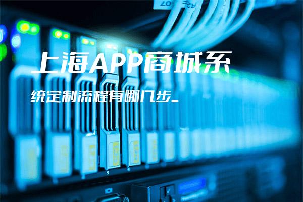上海APP商城系统定制流程有哪几步_