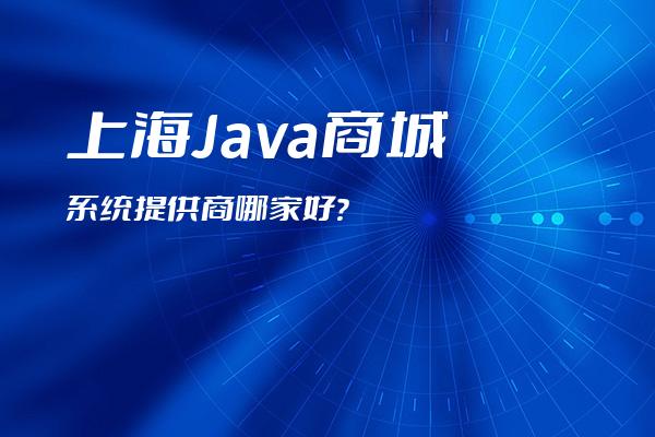 上海Java商城系统提供商哪家好？