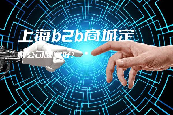 上海b2b商城定制公司哪家好？