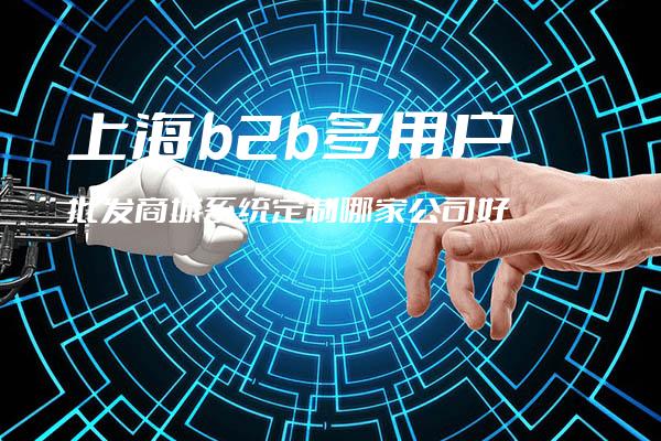 上海b2b多用户批发商城系统定制哪家公司好