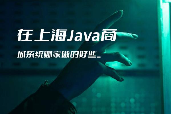 在上海Java商城系统哪家做的好些_