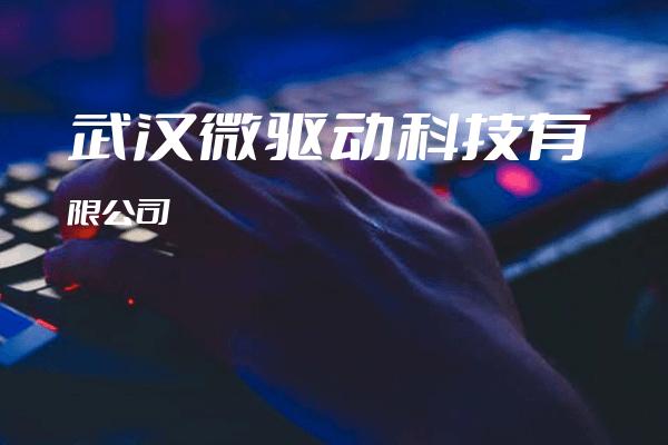 武汉微驱动科技有限公司