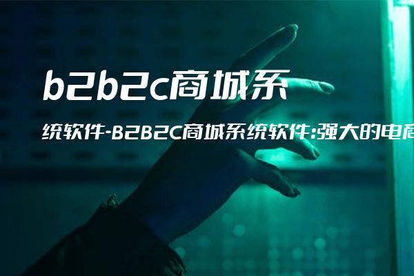 b2b2c商城系统软件-B2B2C商城系统软件：强大的电商平台解决方案