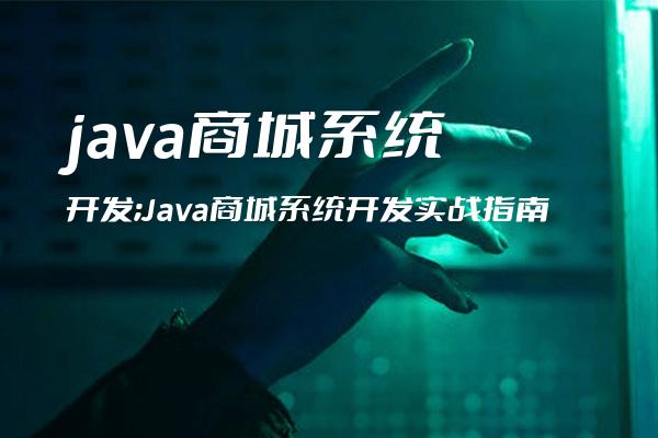 java商城系统开发;Java商城系统开发实战指南